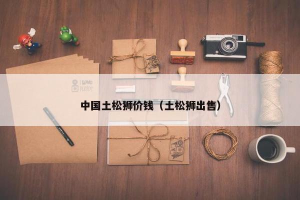 中国土松狮价钱（土松狮出售）