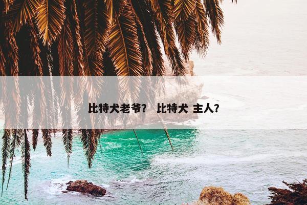 比特犬老爷？ 比特犬 主人？