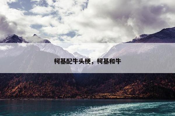 柯基配牛头梗，柯基和牛