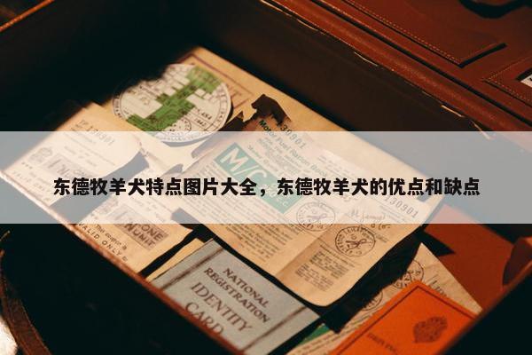 东德牧羊犬特点图片大全，东德牧羊犬的优点和缺点