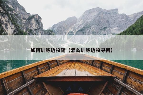 如何训练边牧随（怎么训练边牧寻回）