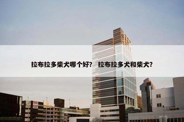 拉布拉多柴犬哪个好？ 拉布拉多犬和柴犬？