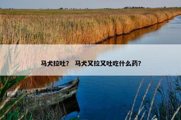 马犬拉吐？ 马犬又拉又吐吃什么药？