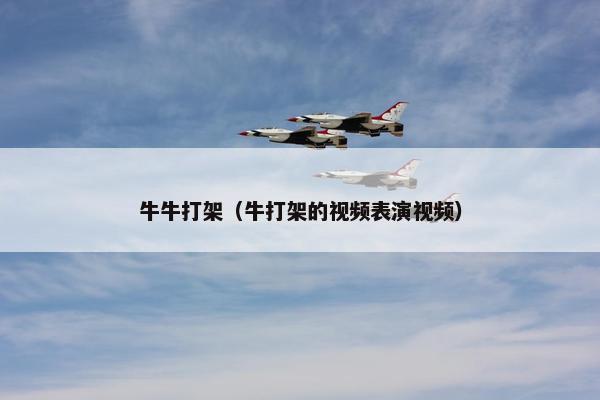 牛牛打架（牛打架的视频表演视频）
