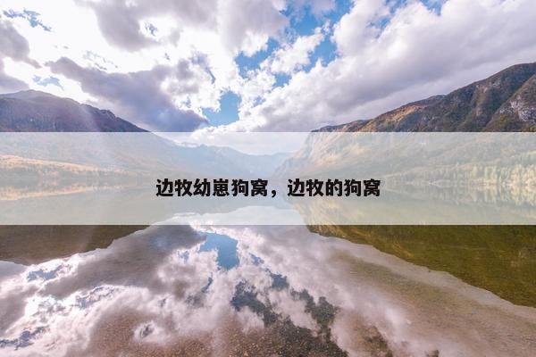 边牧幼崽狗窝，边牧的狗窝