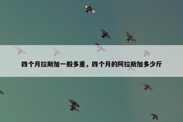 四个月拉斯加一般多重，四个月的阿拉斯加多少斤