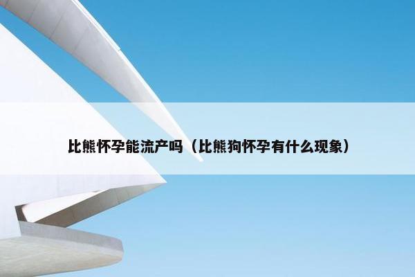 比熊怀孕能流产吗（比熊狗怀孕有什么现象）
