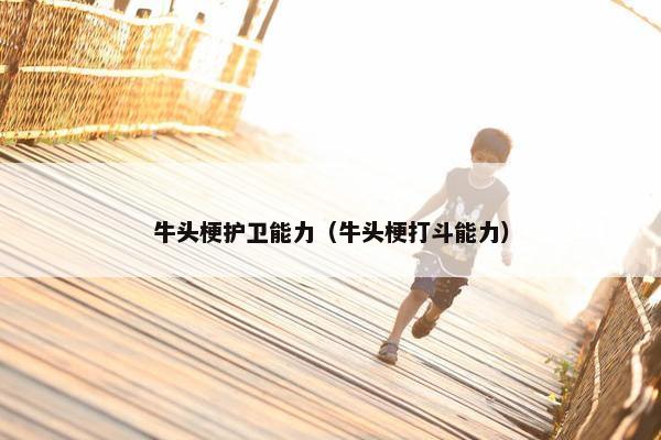 牛头梗护卫能力（牛头梗打斗能力）