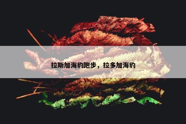 拉斯加海豹跑步，拉多加海豹