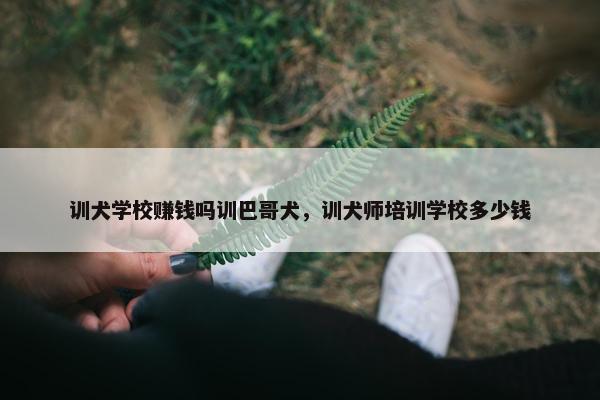 训犬学校赚钱吗训巴哥犬，训犬师培训学校多少钱