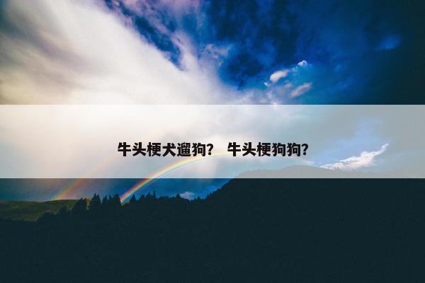 牛头梗犬遛狗？ 牛头梗狗狗？