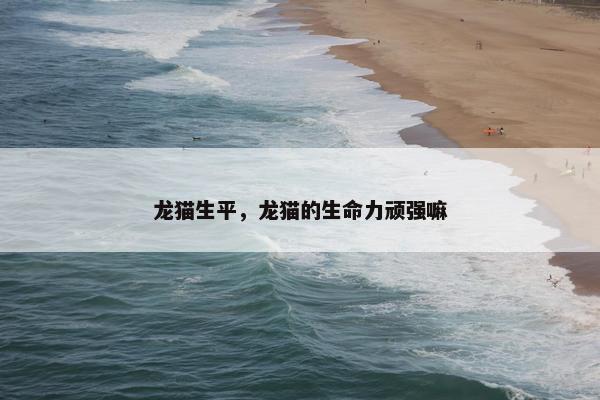 龙猫生平，龙猫的生命力顽强嘛