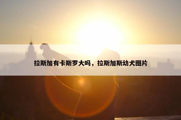 拉斯加有卡斯罗大吗，拉斯加斯幼犬图片