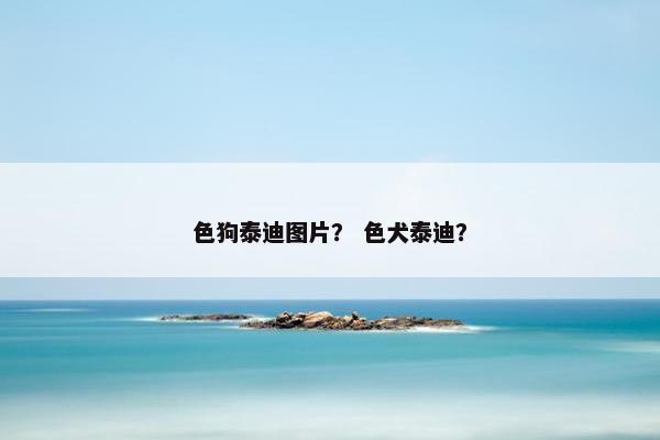 色狗泰迪图片？ 色犬泰迪？