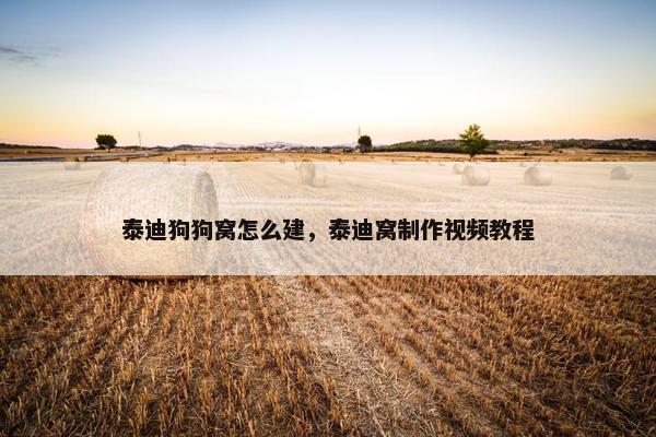 泰迪狗狗窝怎么建，泰迪窝制作视频教程