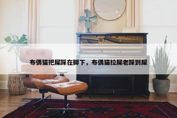 布偶猫把屎踩在脚下，布偶猫拉屎老踩到屎