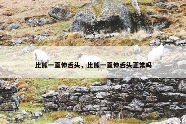 比熊一直伸舌头，比熊一直伸舌头正常吗