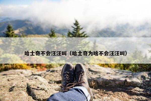 哈士奇不会汪汪叫（哈士奇为啥不会汪汪叫）