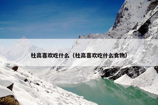 杜高喜欢吃什么（杜高喜欢吃什么食物）