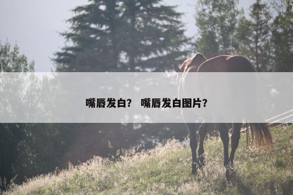 嘴唇发白？ 嘴唇发白图片？
