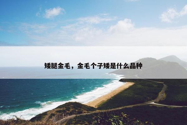 矮腿金毛，金毛个子矮是什么品种