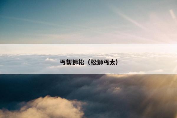 丐帮狮松（松狮丐太）