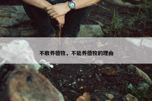 不敢养德牧，不能养德牧的理由