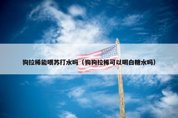 狗拉稀能喂苏打水吗（狗狗拉稀可以喝白糖水吗）