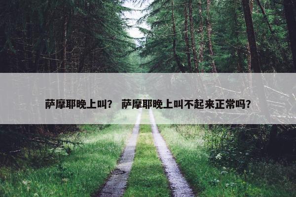 萨摩耶晚上叫？ 萨摩耶晚上叫不起来正常吗？