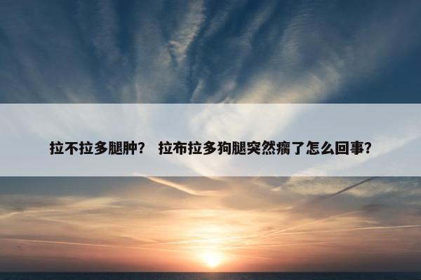拉不拉多腿肿？ 拉布拉多狗腿突然瘸了怎么回事？