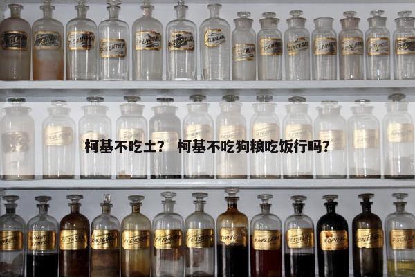 柯基不吃土？ 柯基不吃狗粮吃饭行吗？
