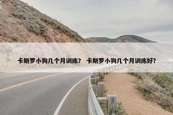 卡斯罗小狗几个月训练？ 卡斯罗小狗几个月训练好？
