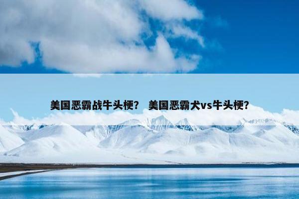 美国恶霸战牛头梗？ 美国恶霸犬vs牛头梗？