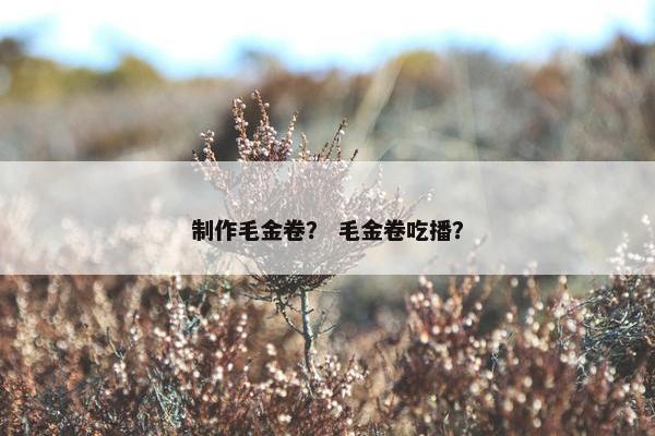 制作毛金卷？ 毛金卷吃播？