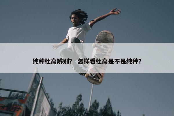 纯种杜高辨别？ 怎样看杜高是不是纯种？