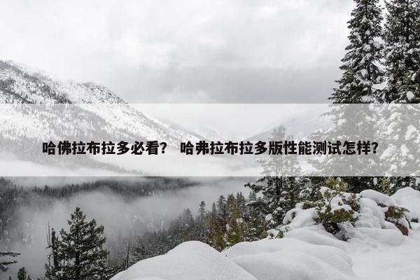 哈佛拉布拉多必看？ 哈弗拉布拉多版性能测试怎样？
