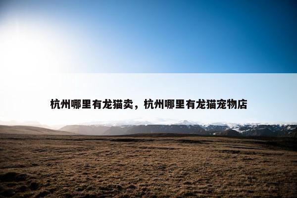 杭州哪里有龙猫卖，杭州哪里有龙猫宠物店
