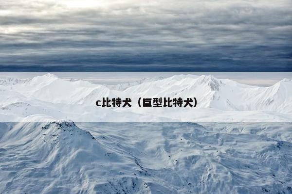 c比特犬（巨型比特犬）