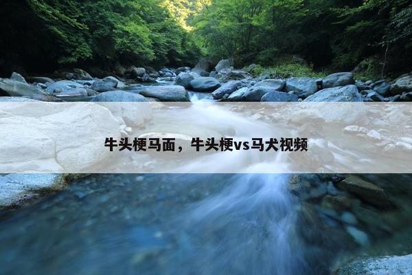 牛头梗马面，牛头梗vs马犬视频