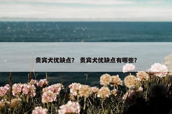 贵宾犬优缺点？ 贵宾犬优缺点有哪些？