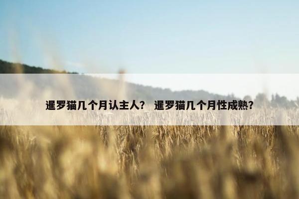 暹罗猫几个月认主人？ 暹罗猫几个月性成熟？