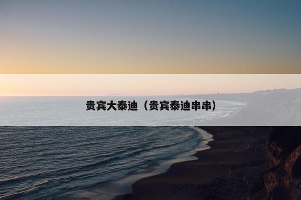 贵宾大泰迪（贵宾泰迪串串）