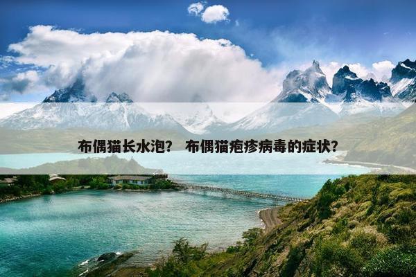 布偶猫长水泡？ 布偶猫疱疹病毒的症状？