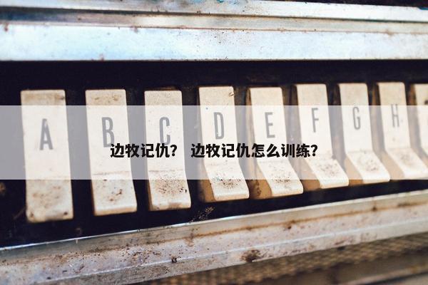 边牧记仇？ 边牧记仇怎么训练？