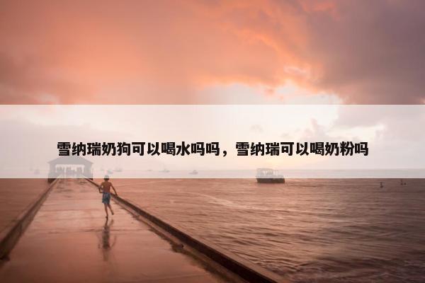 雪纳瑞奶狗可以喝水吗吗，雪纳瑞可以喝奶粉吗
