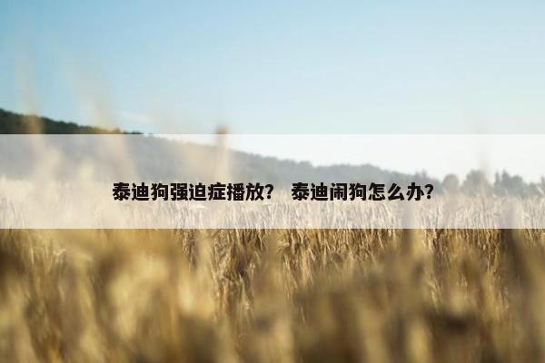 泰迪狗强迫症播放？ 泰迪闹狗怎么办？