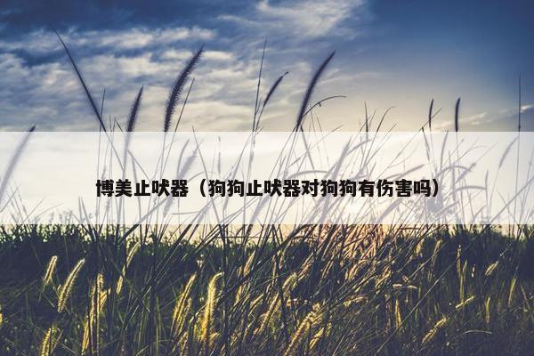 博美止吠器（狗狗止吠器对狗狗有伤害吗）