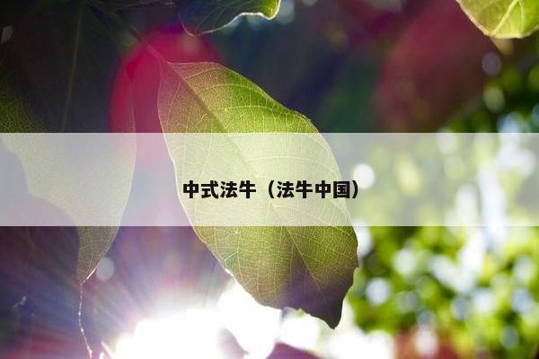 中式法牛（法牛中国）