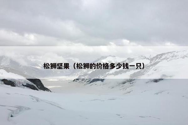 松狮坚果（松狮的价格多少钱一只）