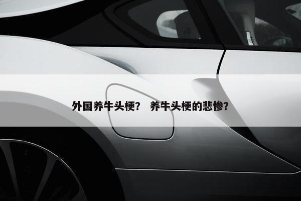 外国养牛头梗？ 养牛头梗的悲惨？